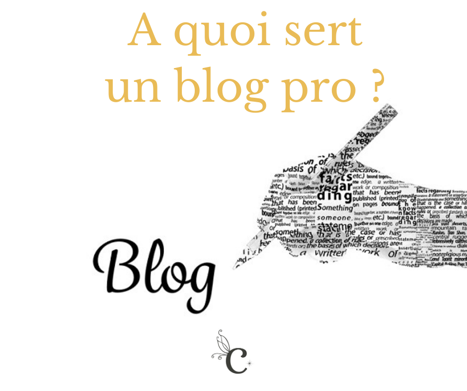 You are currently viewing A quoi sert un blog professionnel ?