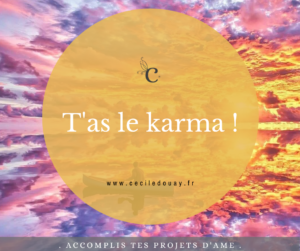 Lire la suite à propos de l’article T’as le karma !